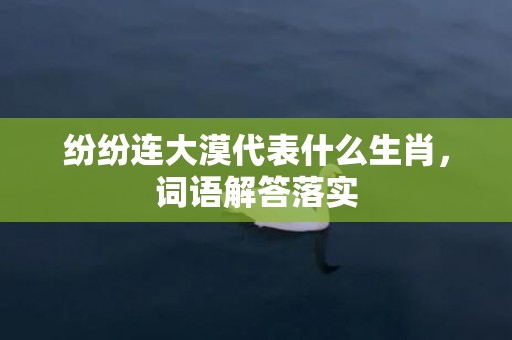 纷纷连大漠代表什么生肖，词语解答落实