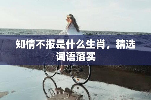 知情不报是什么生肖，精选词语落实