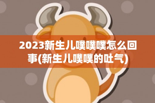 2023新生儿噗噗噗怎么回事(新生儿噗噗的吐气)