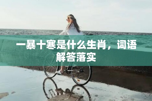 一暴十寒是什么生肖，词语解答落实