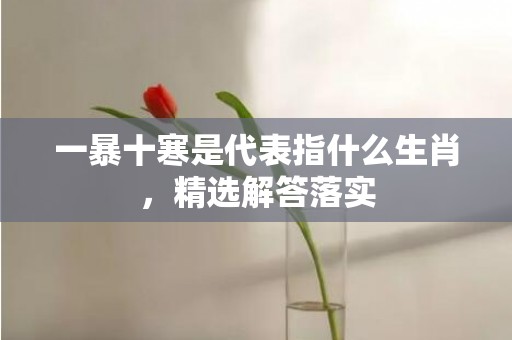 一暴十寒是代表指什么生肖，精选解答落实