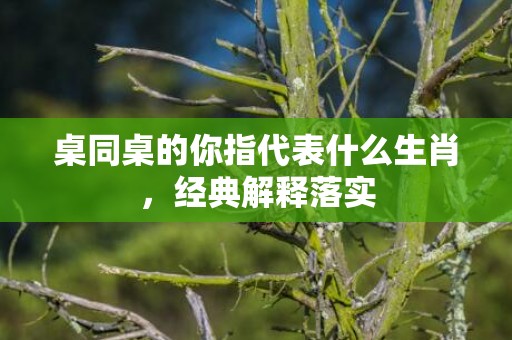 桌同桌的你指代表什么生肖，经典解释落实