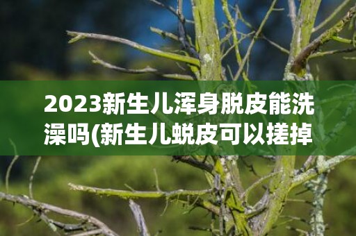 2023新生儿浑身脱皮能洗澡吗(新生儿蜕皮可以搓掉吗)