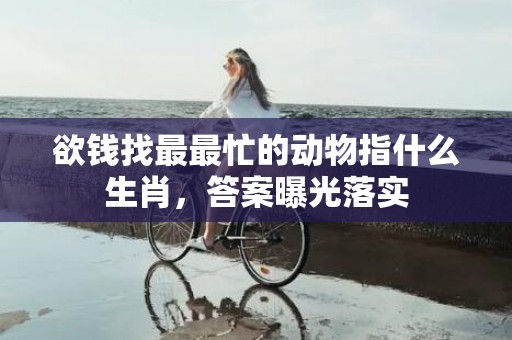 欲钱找最最忙的动物指什么生肖，答案曝光落实