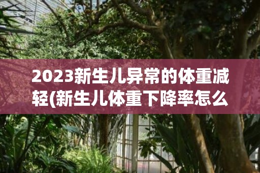 2023新生儿异常的体重减轻(新生儿体重下降率怎么算)