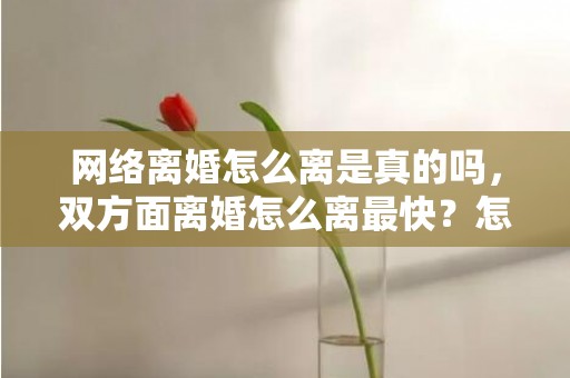 网络离婚怎么离是真的吗，双方面离婚怎么离最快？怎样离婚最快,一方不同意离婚