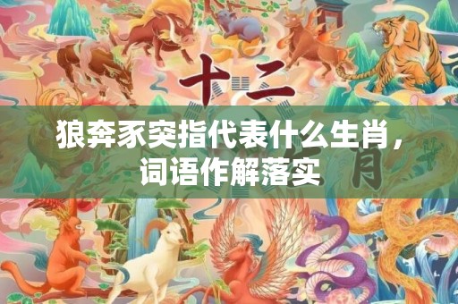 狼奔豕突指代表什么生肖，词语作解落实