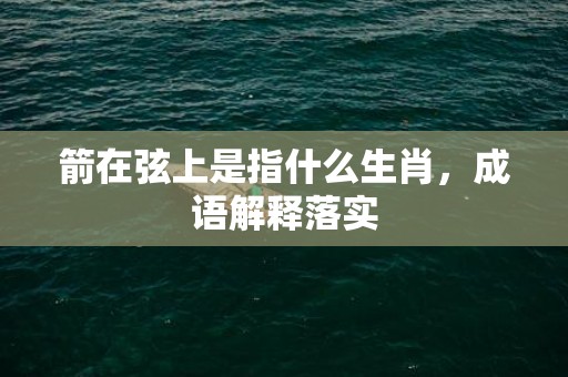 箭在弦上是指什么生肖，成语解释落实