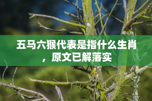 五马六猴代表是指什么生肖，原文已解落实