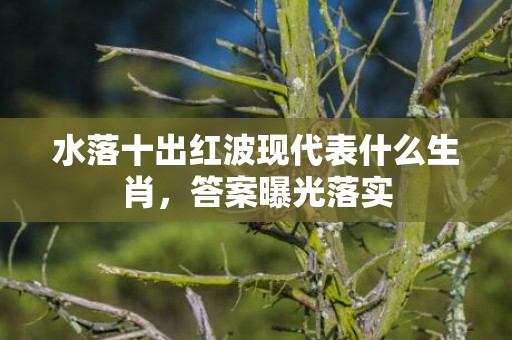 水落十出红波现代表什么生肖，答案曝光落实