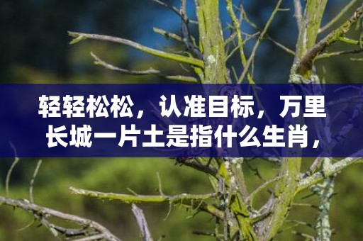 轻轻松松，认准目标，万里长城一片土是指什么生肖，词语梳理落实