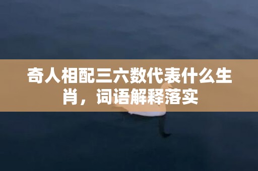 奇人相配三六数代表什么生肖，词语解释落实