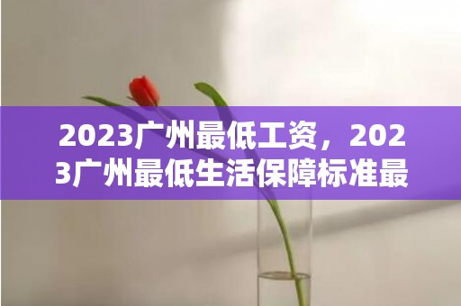 2023广州最低工资，2023广州最低生活保障标准最新