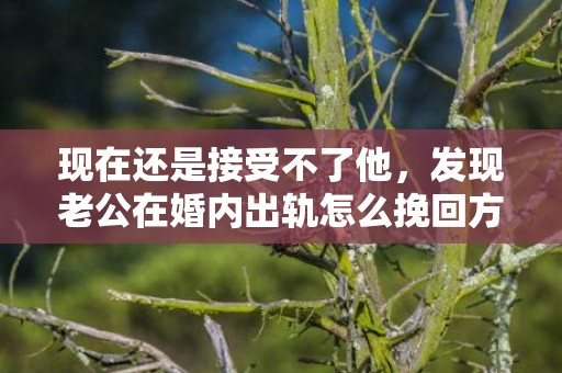 现在还是接受不了他，发现老公在婚内出轨怎么挽回方法