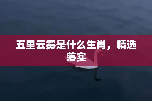 五里云雾是什么生肖，精选落实