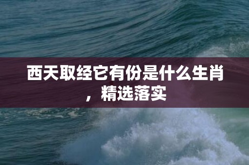 西天取经它有份是什么生肖，精选落实