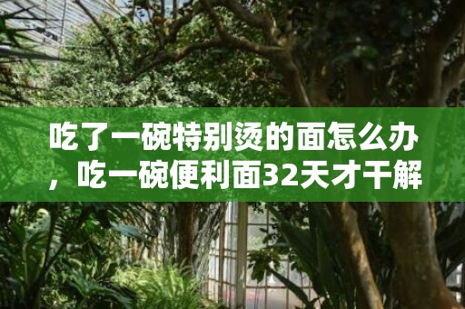 吃了一碗特别烫的面怎么办，吃一碗便利面32天才干解毒是真的吗 便利面有防腐剂吗