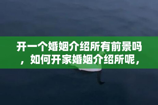 开一个婚姻介绍所有前景吗，如何开家婚姻介绍所呢，开一家婚介公司要多少钱