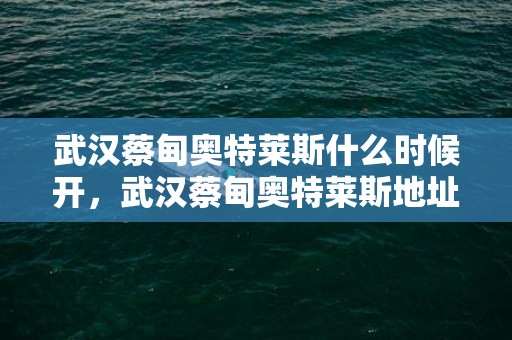 武汉蔡甸奥特莱斯什么时候开，武汉蔡甸奥特莱斯地址及开业时间