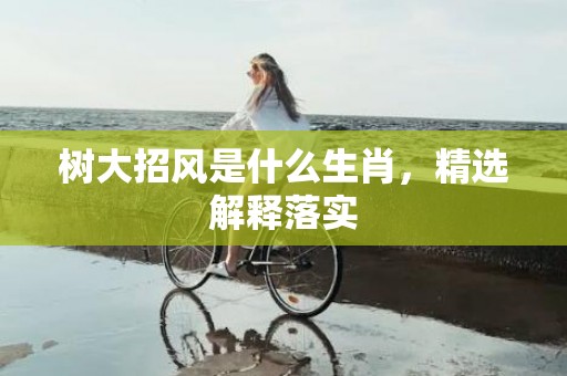 树大招风是什么生肖，精选解释落实