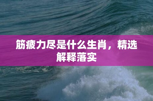 筋疲力尽是什么生肖，精选解释落实