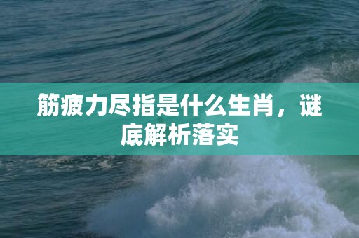 筋疲力尽指是什么生肖，谜底解析落实