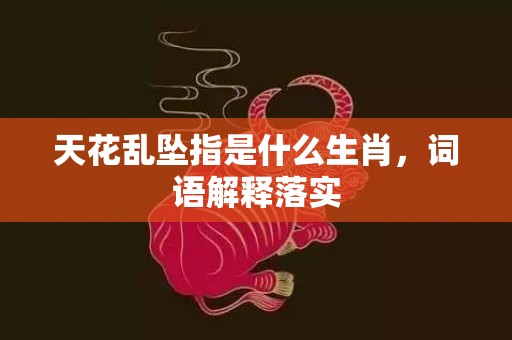 天花乱坠指是什么生肖，词语解释落实