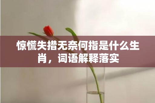 惊慌失措无奈何指是什么生肖，词语解释落实