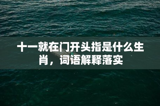 十一就在门开头指是什么生肖，词语解释落实