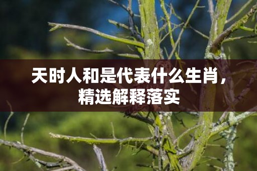 天时人和是代表什么生肖，精选解释落实