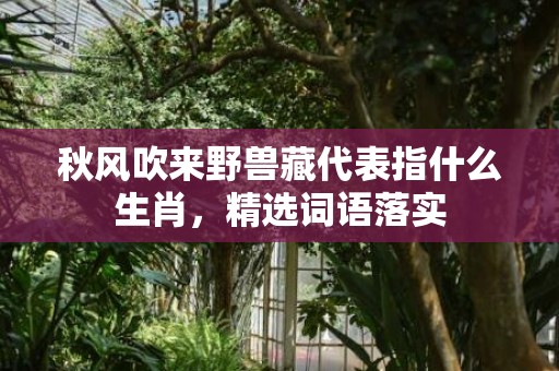 秋风吹来野兽藏代表指什么生肖，精选词语落实