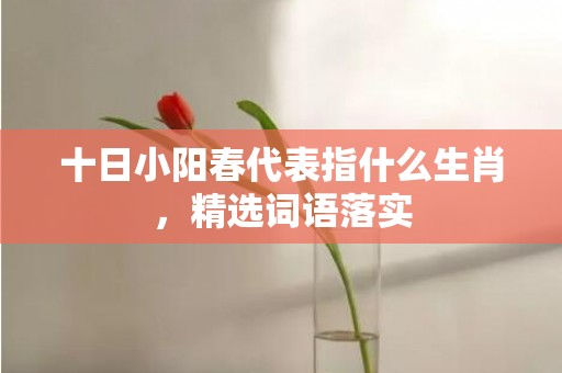 十日小阳春代表指什么生肖，精选词语落实