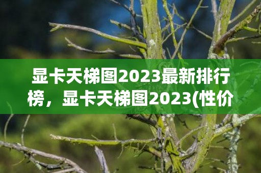 显卡天梯图2023最新排行榜，显卡天梯图2023(性价比排行榜)