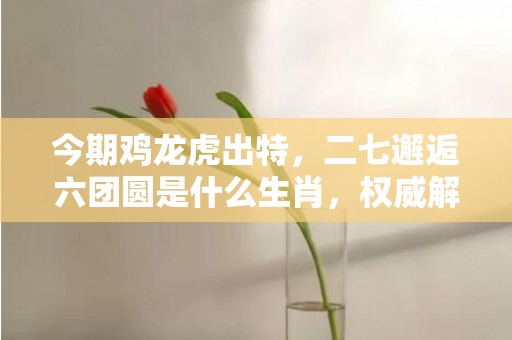 今期鸡龙虎出特，二七邂逅六团圆是什么生肖，权威解释落实