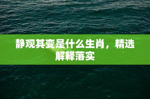 静观其变是什么生肖，精选解释落实