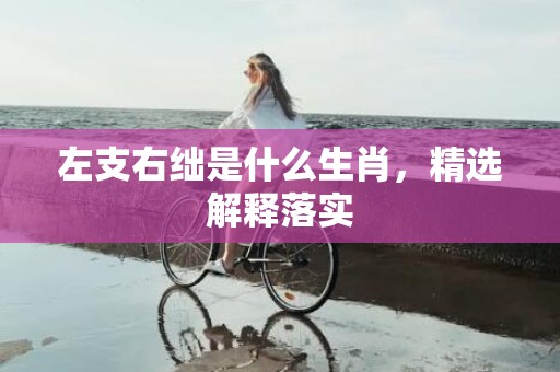 左支右绌是什么生肖，精选解释落实