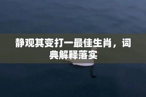 静观其变打一最佳生肖，词典解释落实