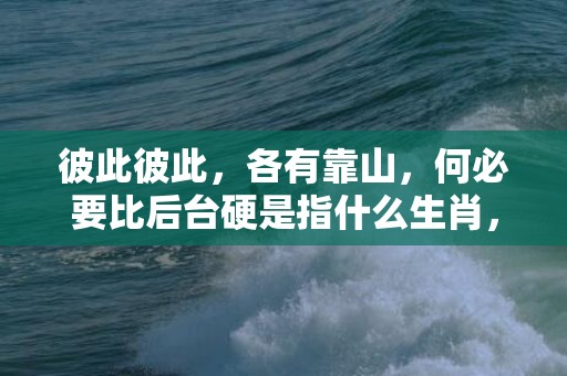 彼此彼此，各有靠山，何必要比后台硬是指什么生肖，精选解释落实