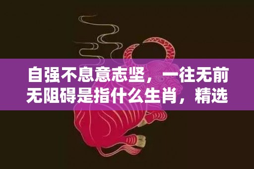 自强不息意志坚，一往无前无阻碍是指什么生肖，精选解释落实