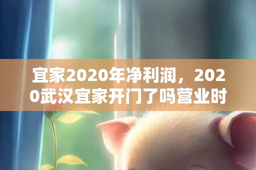 宜家2020年净利润，2020武汉宜家开门了吗营业时间几点