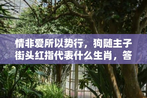 情非爱所以势行，狗随主子街头红指代表什么生肖，答案曝光落实