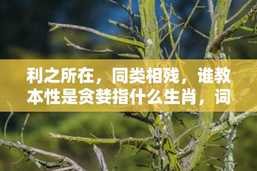 利之所在，同类相残，谁教本性是贪婪指什么生肖，词语精选落实