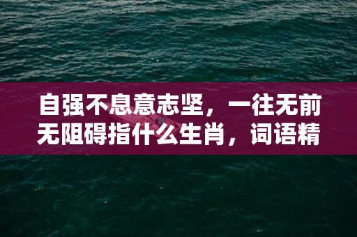 自强不息意志坚，一往无前无阻碍指什么生肖，词语精选落实