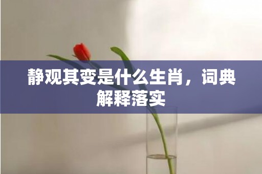 静观其变是什么生肖，词典解释落实