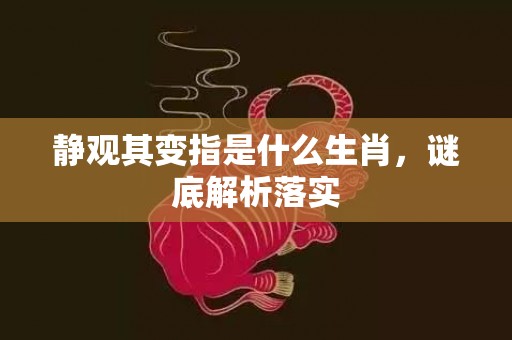 静观其变指是什么生肖，谜底解析落实