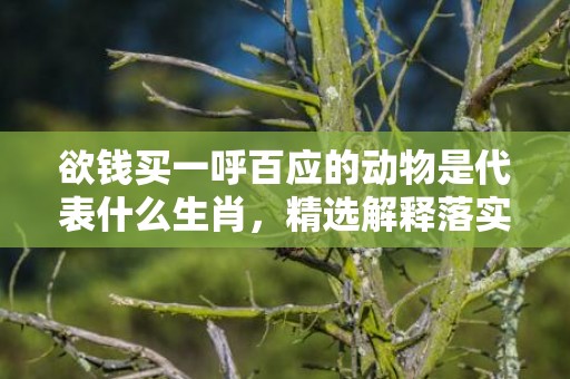 欲钱买一呼百应的动物是代表什么生肖，精选解释落实