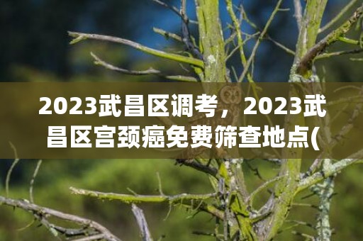 2023武昌区调考，2023武昌区宫颈癌免费筛查地点(筛查时间+预约电话)