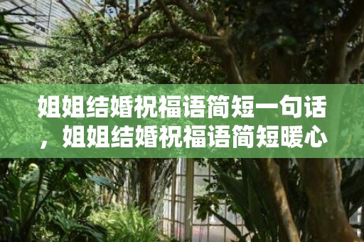 姐姐结婚祝福语简短一句话，姐姐结婚祝福语简短暖心？最简单的祝福语一句话