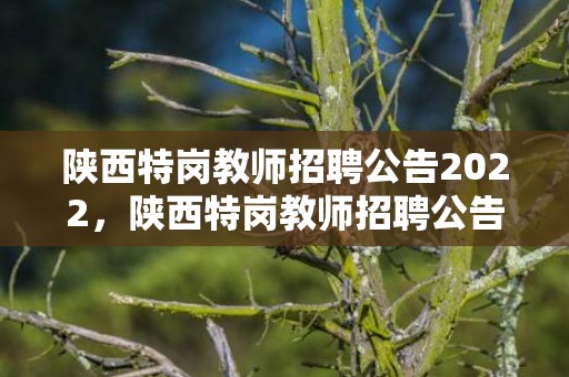 陕西特岗教师招聘公告2022，陕西特岗教师招聘公告2023