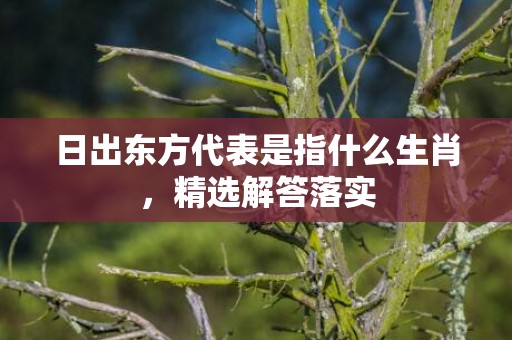 日出东方代表是指什么生肖，精选解答落实